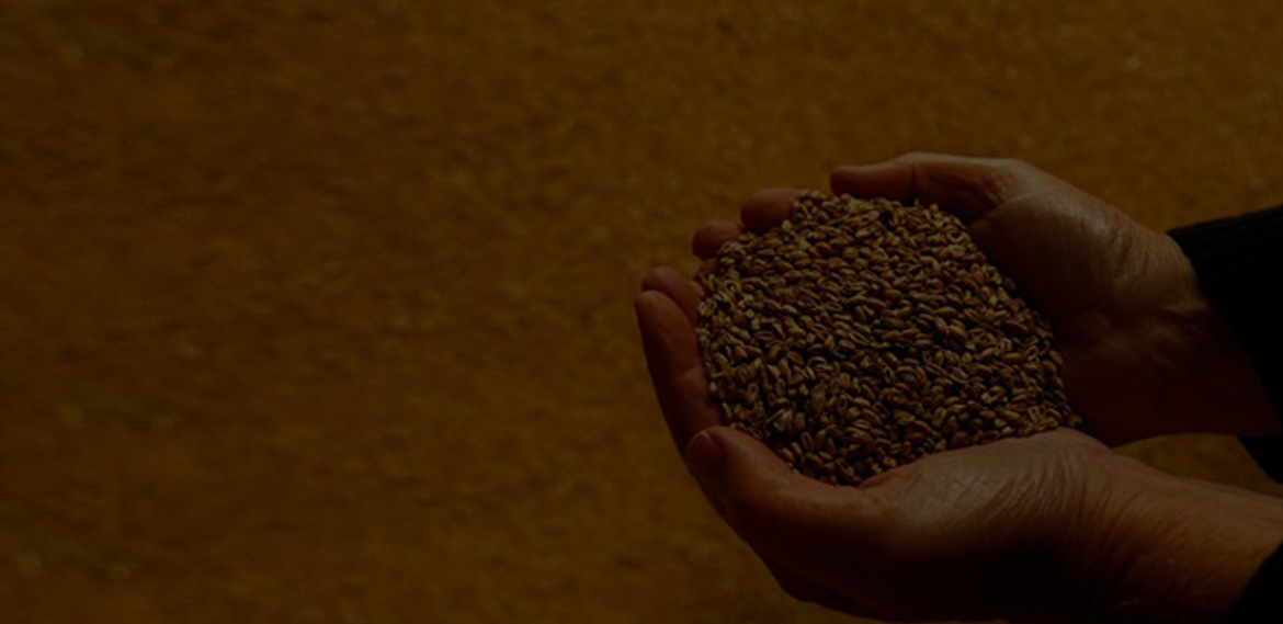 مساعدة الاشخاص الاكثر عرضة لانعدام الأمن الغذائي والمجتمعات المتضررة من الحرب بما في ذلك النازحين في الحصول على الغذاء السليم.